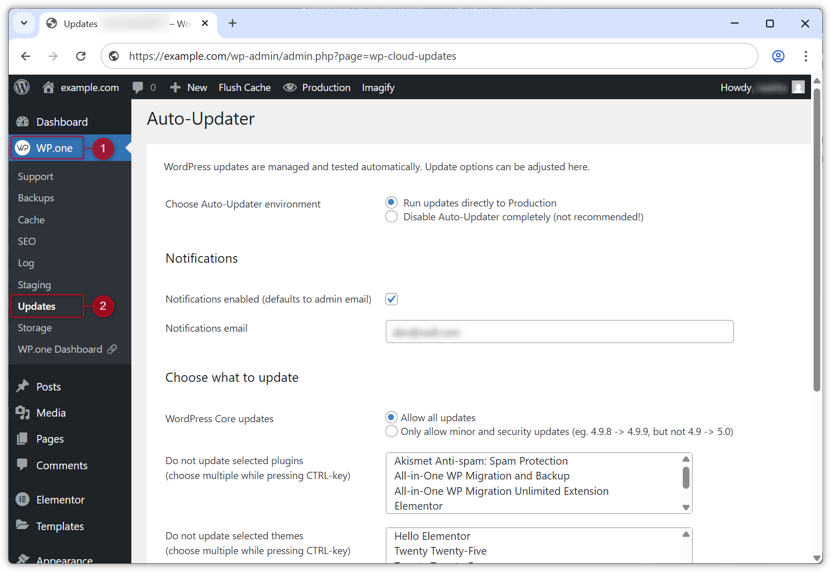 Screenshot of the Updates page in WP.one plugin.